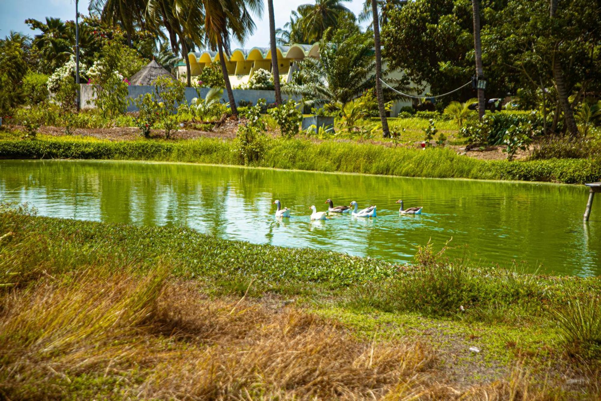Hotel Sarakawa Lome Ngoại thất bức ảnh
