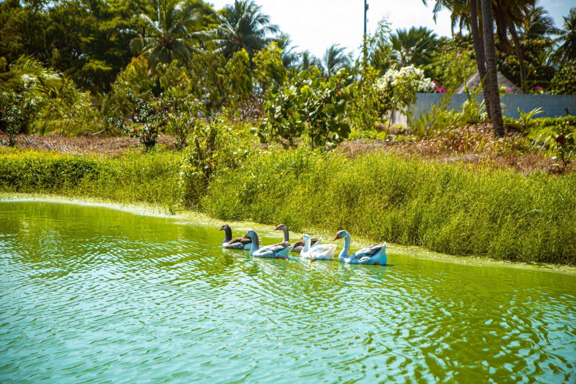 Hotel Sarakawa Lome Ngoại thất bức ảnh